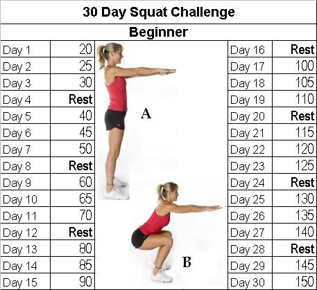 squat-beginner